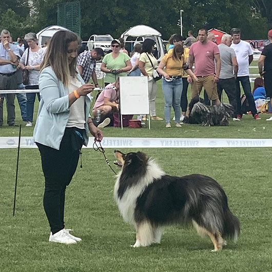 Luca